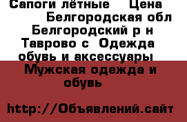 Сапоги лётные  › Цена ­ 3 500 - Белгородская обл., Белгородский р-н, Таврово с. Одежда, обувь и аксессуары » Мужская одежда и обувь   